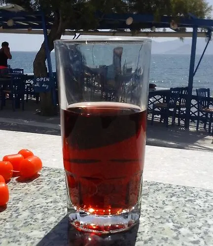 公寓式酒店 O Fotis 3*